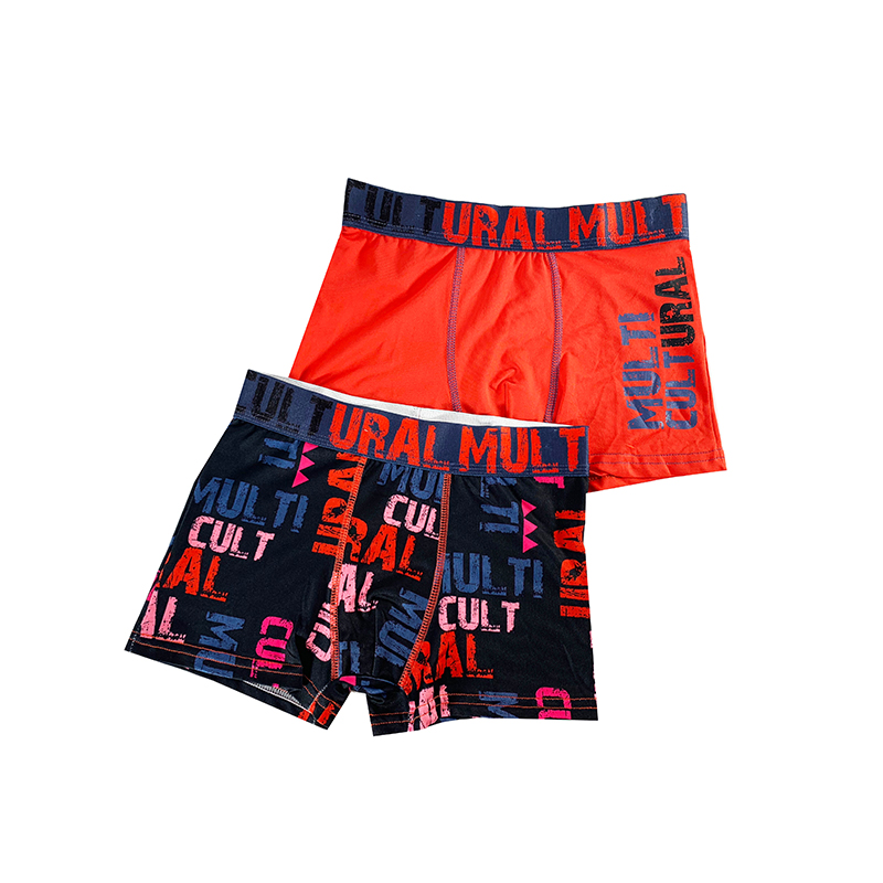 boxer