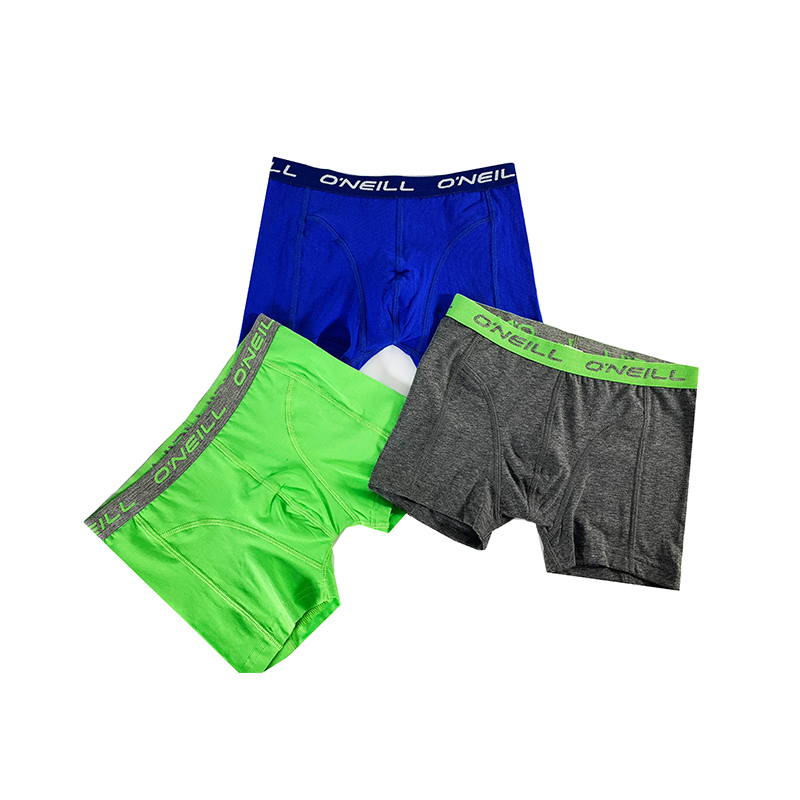 boxer